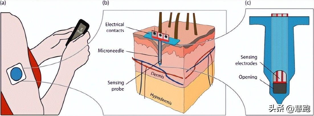长距离比赛该吃多少能量胶：来自全新可穿戴技术的实证