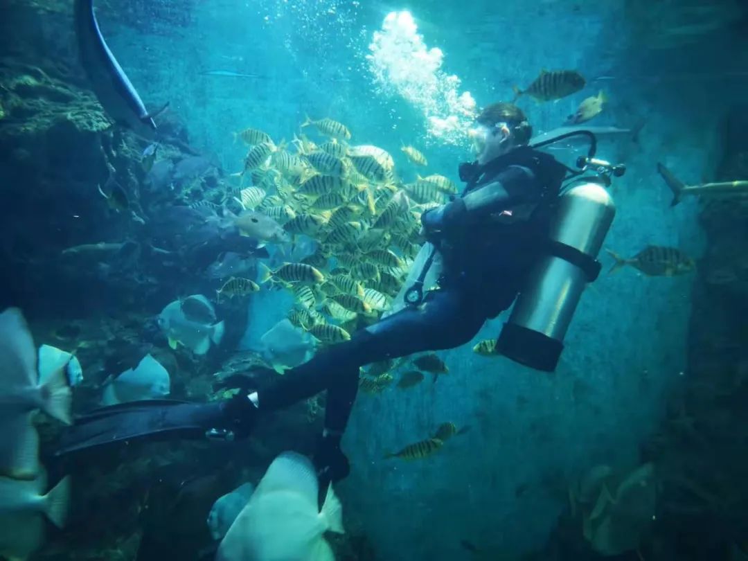 【福建见·闽山闽水物华新】周末“趣”游|乘着夏日的风向海出发，邂逅诗意厦门