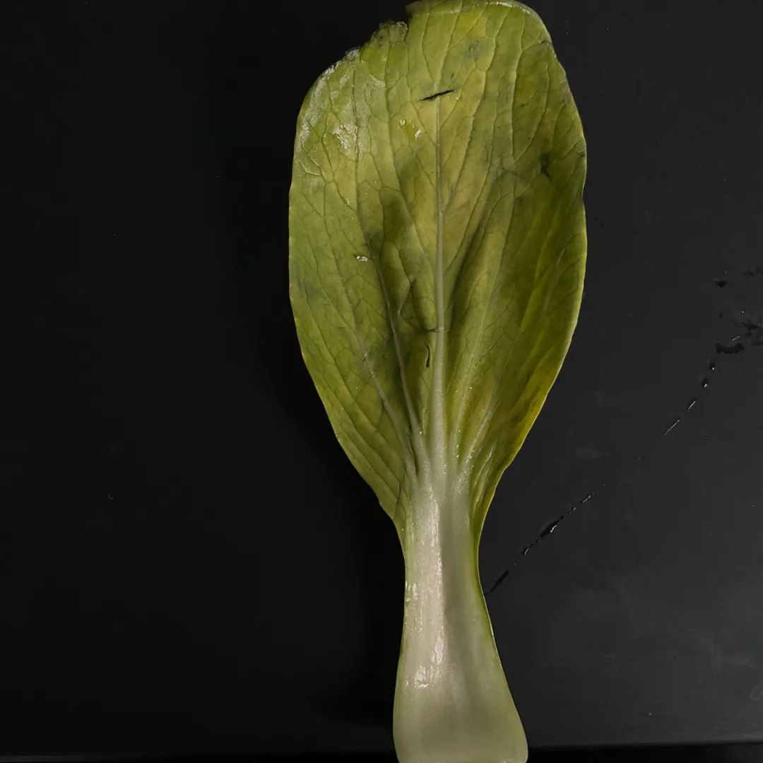 疫情下艰难生活的打工者,疫情下艰难生存的90后创业者