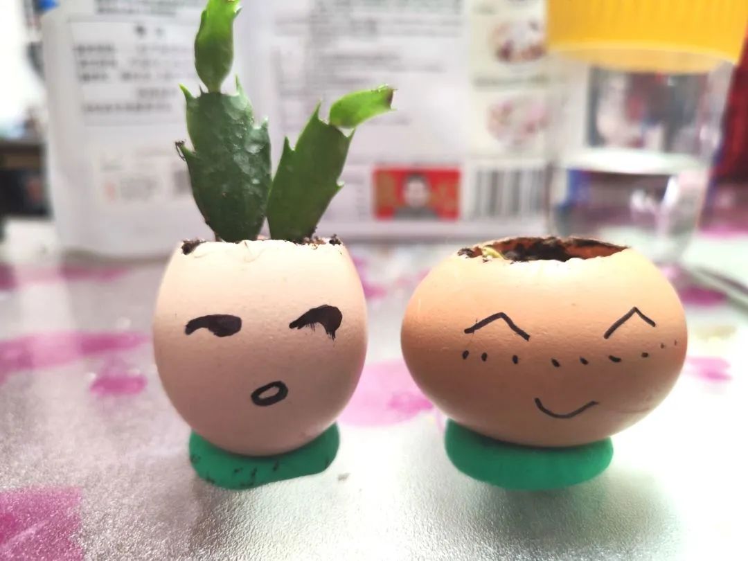 缅怀追思品味清明—无锡市新吴区江溪小学