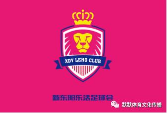 济南新东阳乐活（乾唐轩）足球会编年体回忆录《十年》（十）