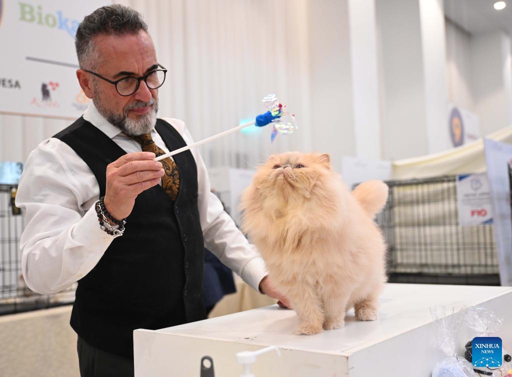 希喂宠物空气净化器,宠物空气净化器测评哪款最好