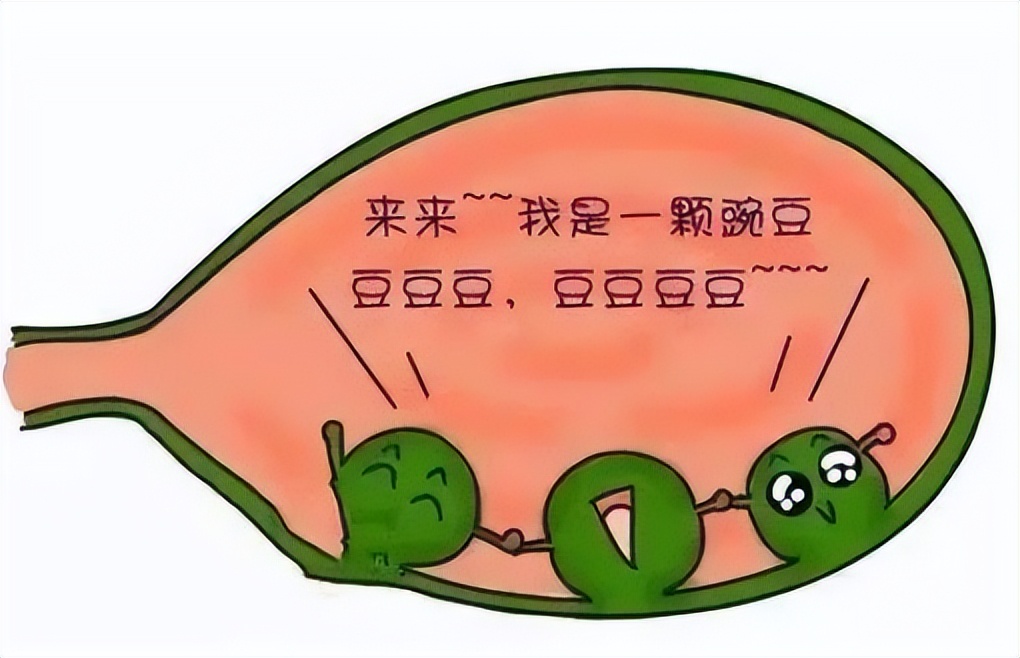 上海胆囊息肉中医哪个医生最好,北京中医看胆囊息肉最好的专家