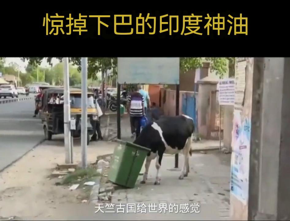 惊掉下巴的印度神油#印度神油#惊掉下巴