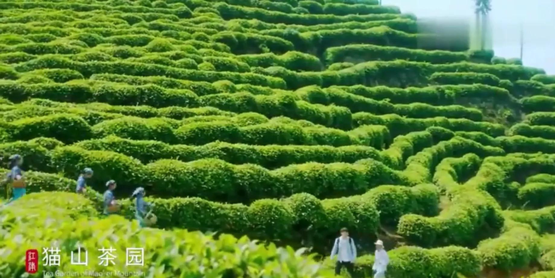 重庆江津北部新城发展,重庆江津2021规划