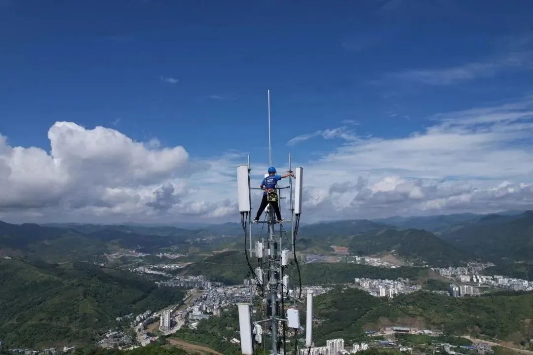 悬念揭晓在即,悬念揭晓视频