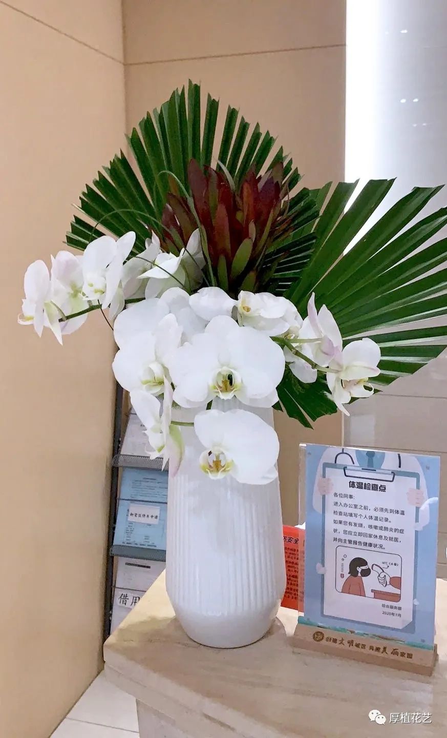 商务前台鲜花,前台花选择