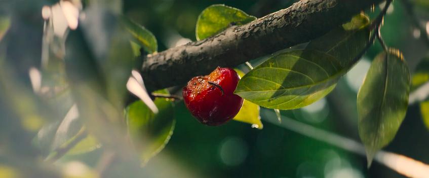 韩国女演员千玗嬉,韩国女明星千玗嬉