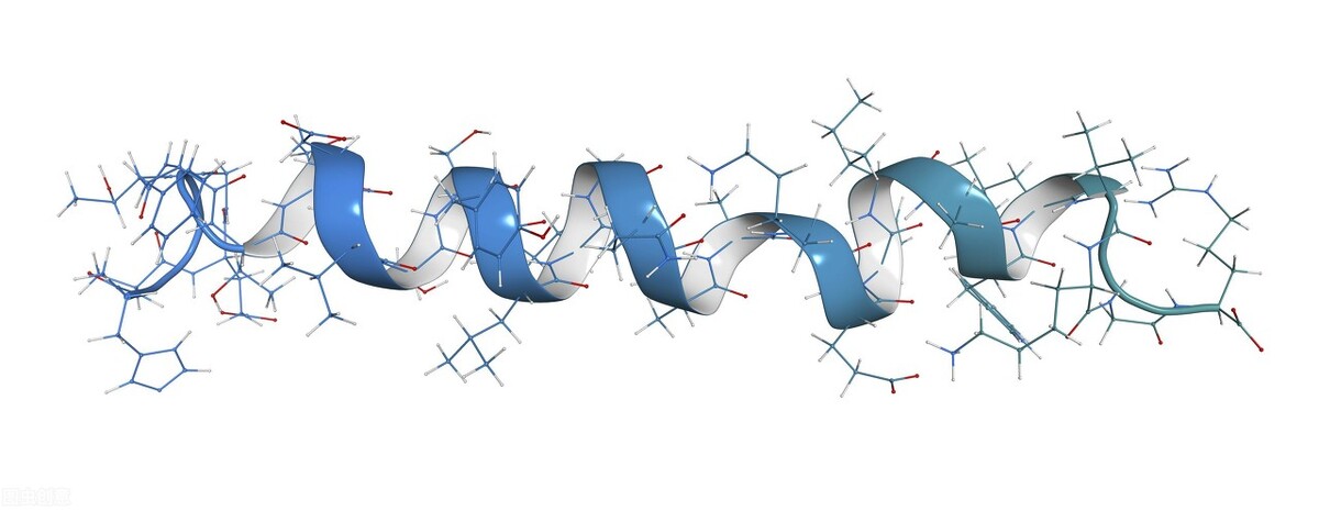 肽肽的真实感受,肽绝无仅有的三大优点是什么
