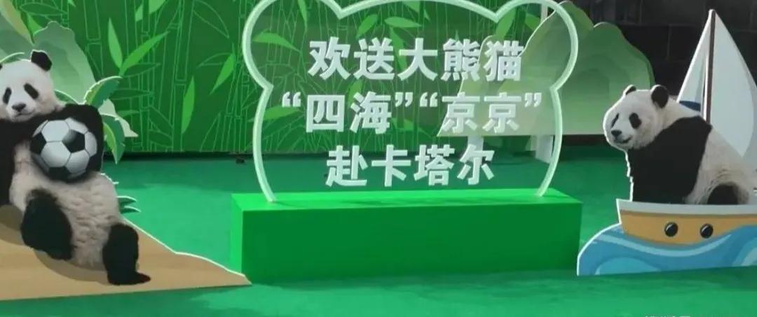 卡塔尔世界杯小知识卡通,卡塔尔世界杯知识