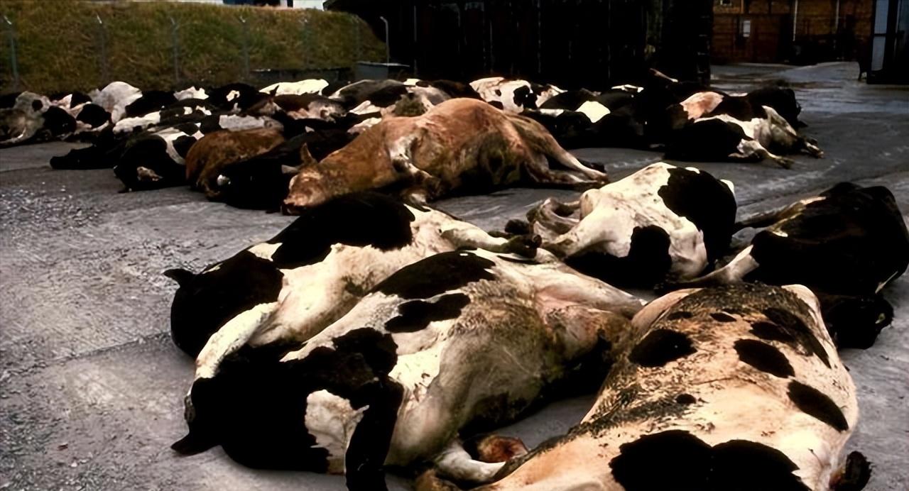 朊病毒防止人类自相残杀,致死率高达100%的病毒