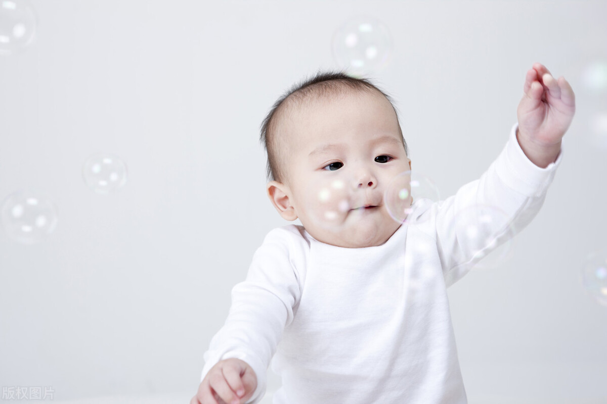 什么食物含维生素e和维生素c最高,维生素a维生素b维生素e和铁的食物