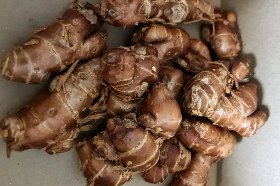 12种香料及分量,姜科植物的香料有哪些