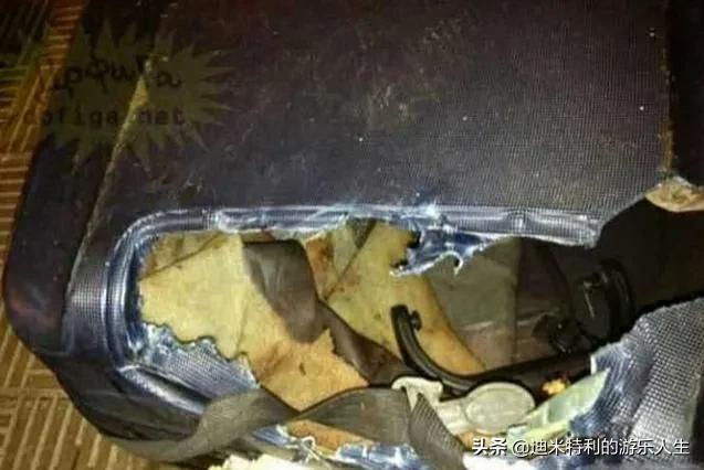 「白日鬼话」英国妇女婚外情，将孩子装进手提箱变木乃伊