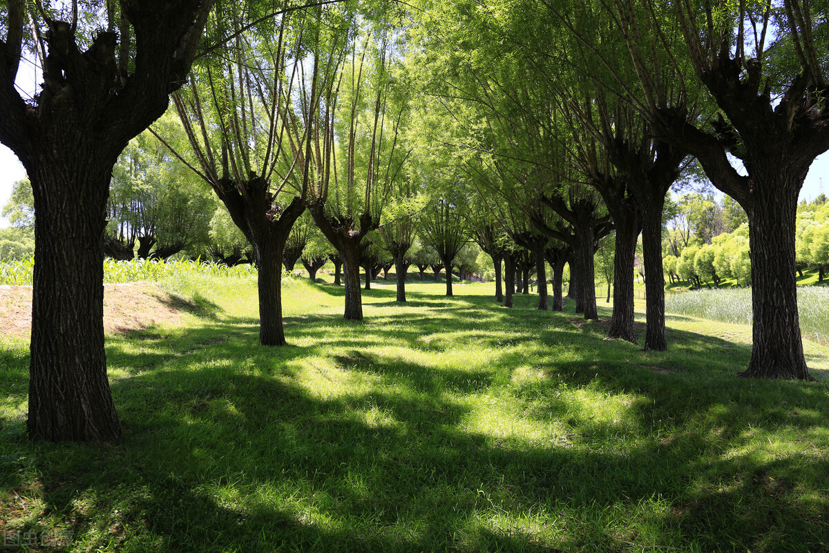 寓言小故事大道理感悟人生,一则通俗易懂的寓言故事