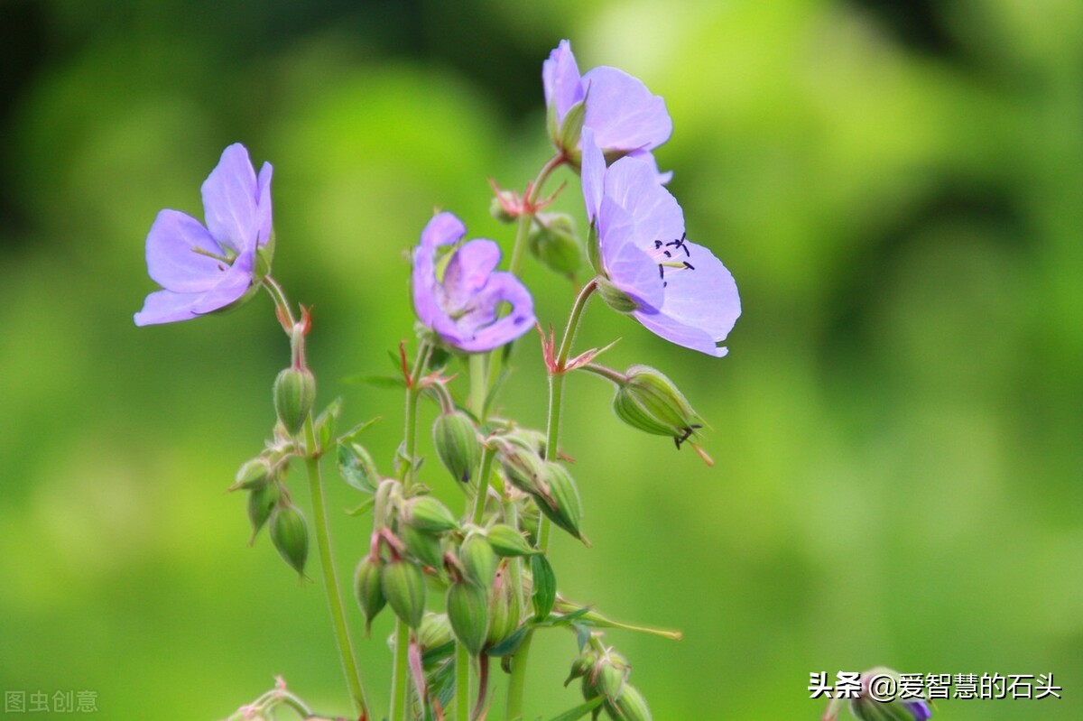 讨厌一个人用不着翻脸的文章,面对很讨厌的人用不着翻脸