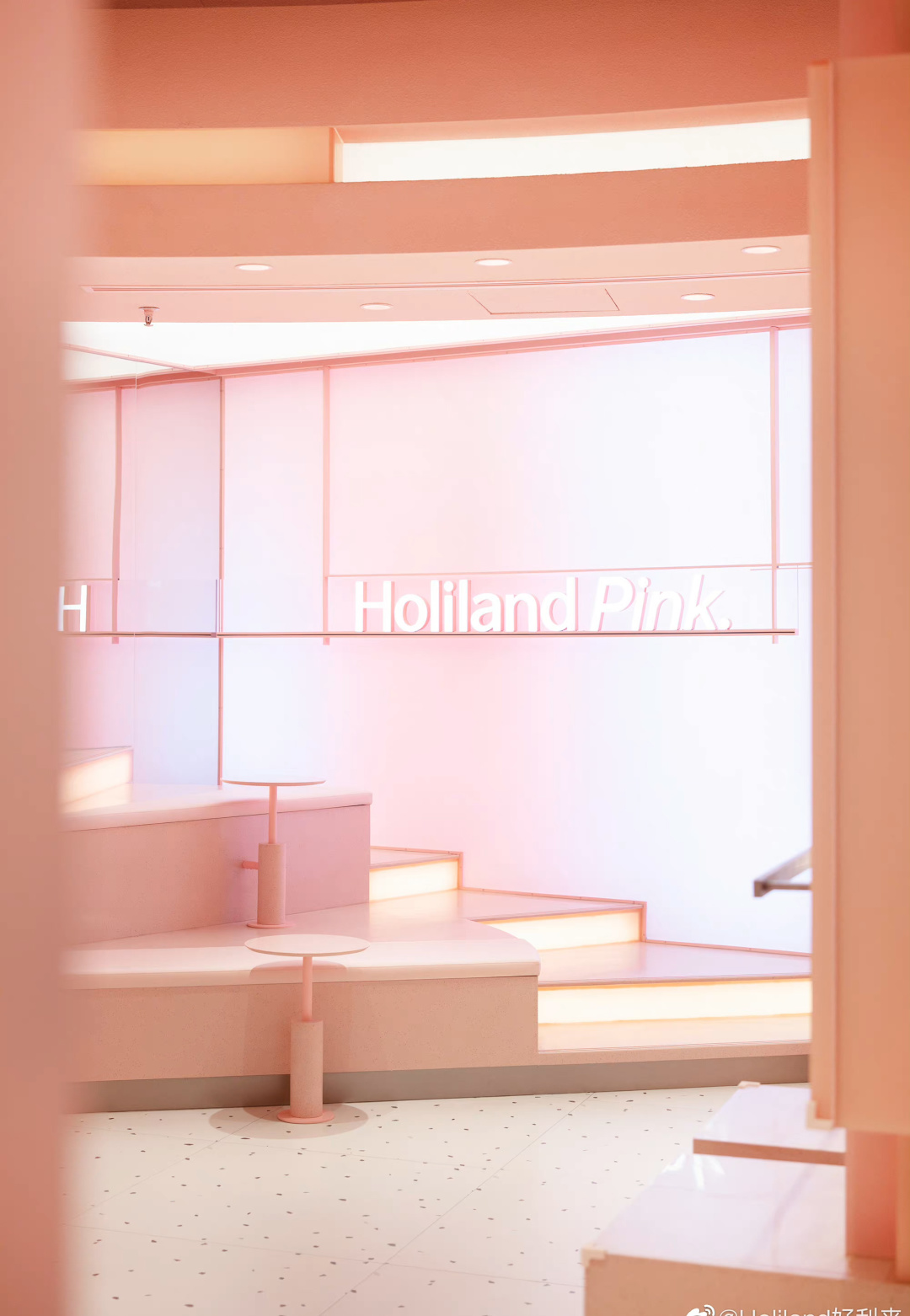 蛋糕界的内鬼，流量界的好利来