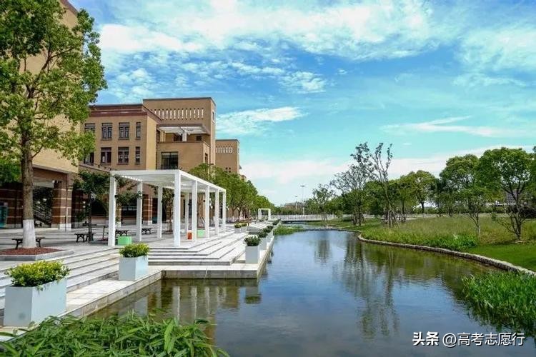 不起眼的本科大学,不起眼的高校