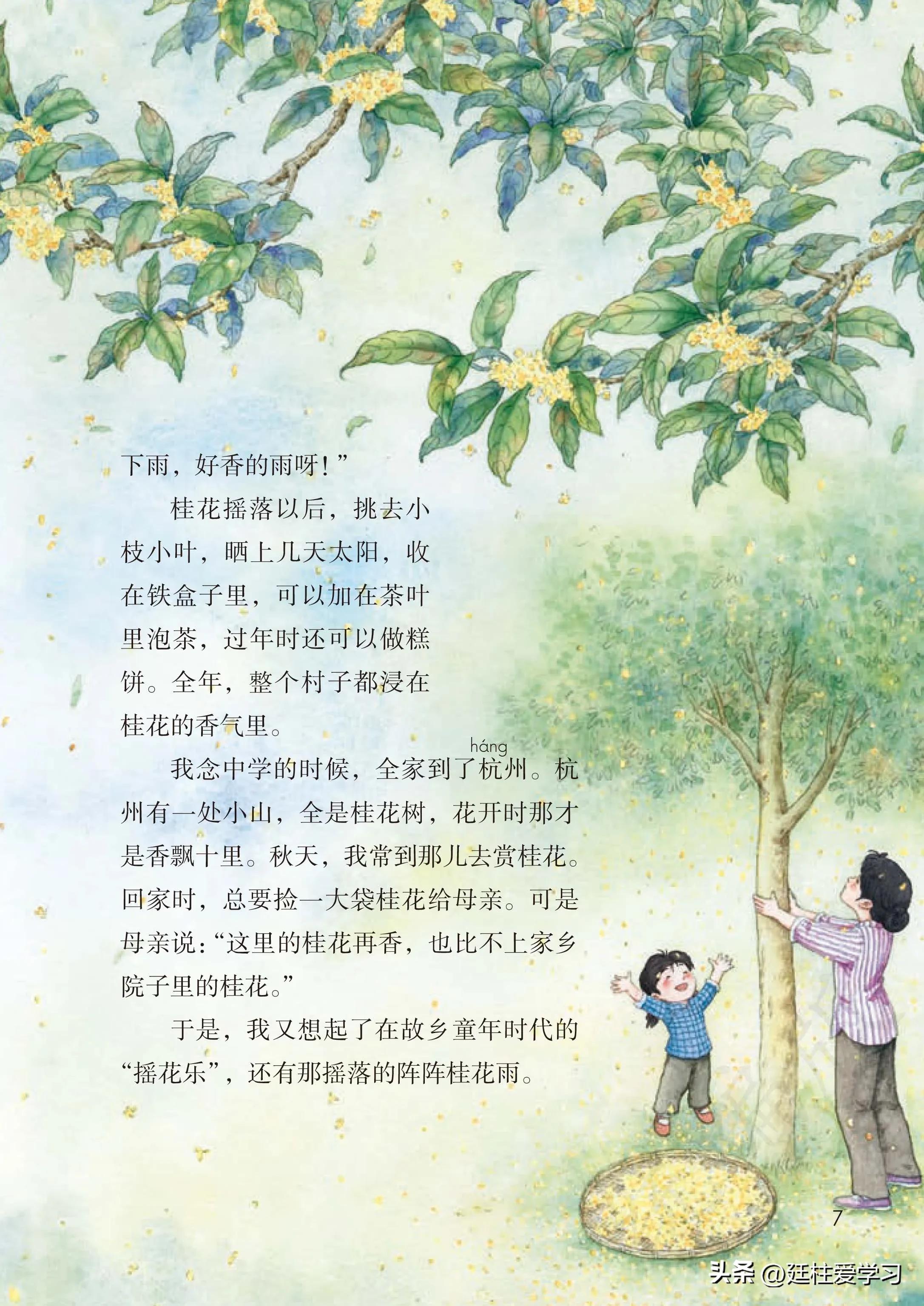 小学语文五年级上册22课,小学语文五年级上册知识点