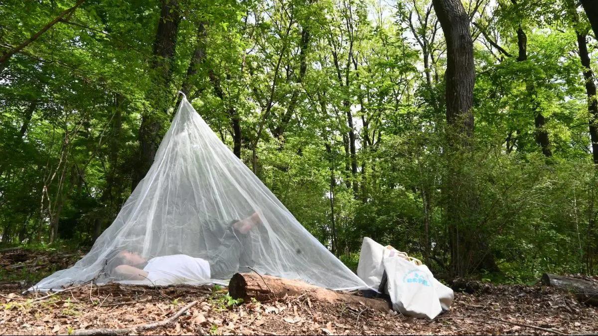 夏天用蚊帐的坏处,冬天可以用蚊帐吗