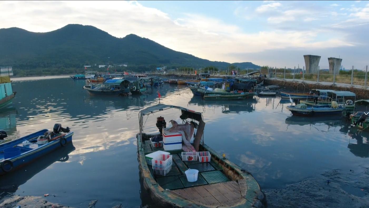 三亚大鲍鱼批发市场,三亚去哪里买海鲜最便宜