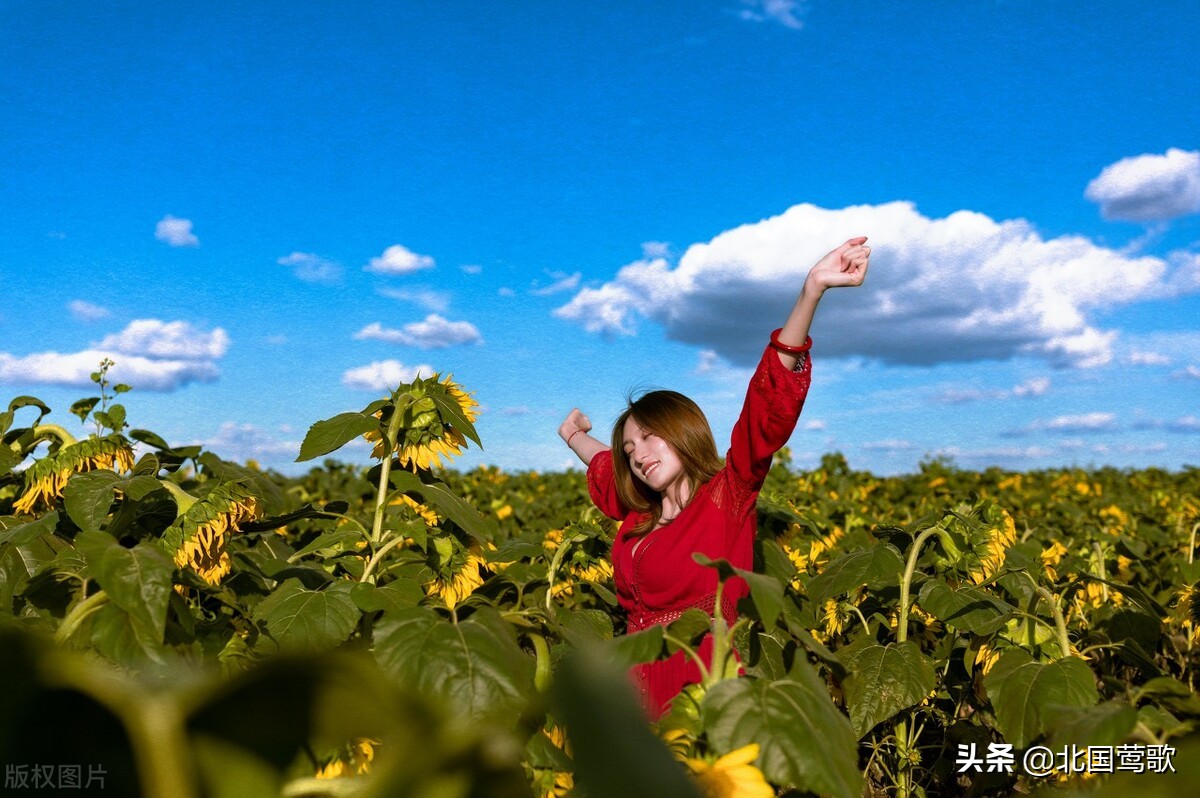 游子思乡时诗词,冬日游子思乡诗词