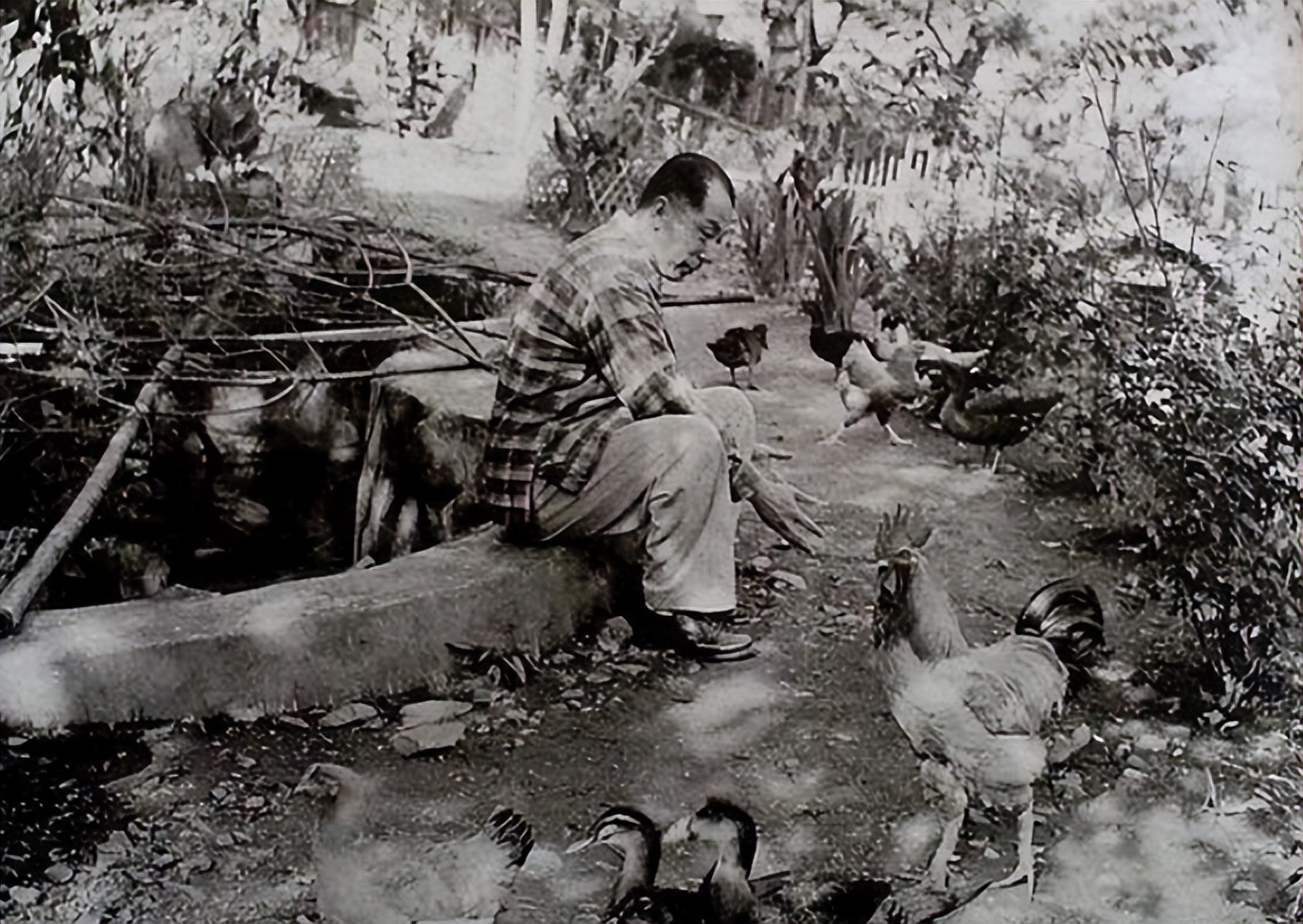 张学良有什么故事,张学良在洪崖洞