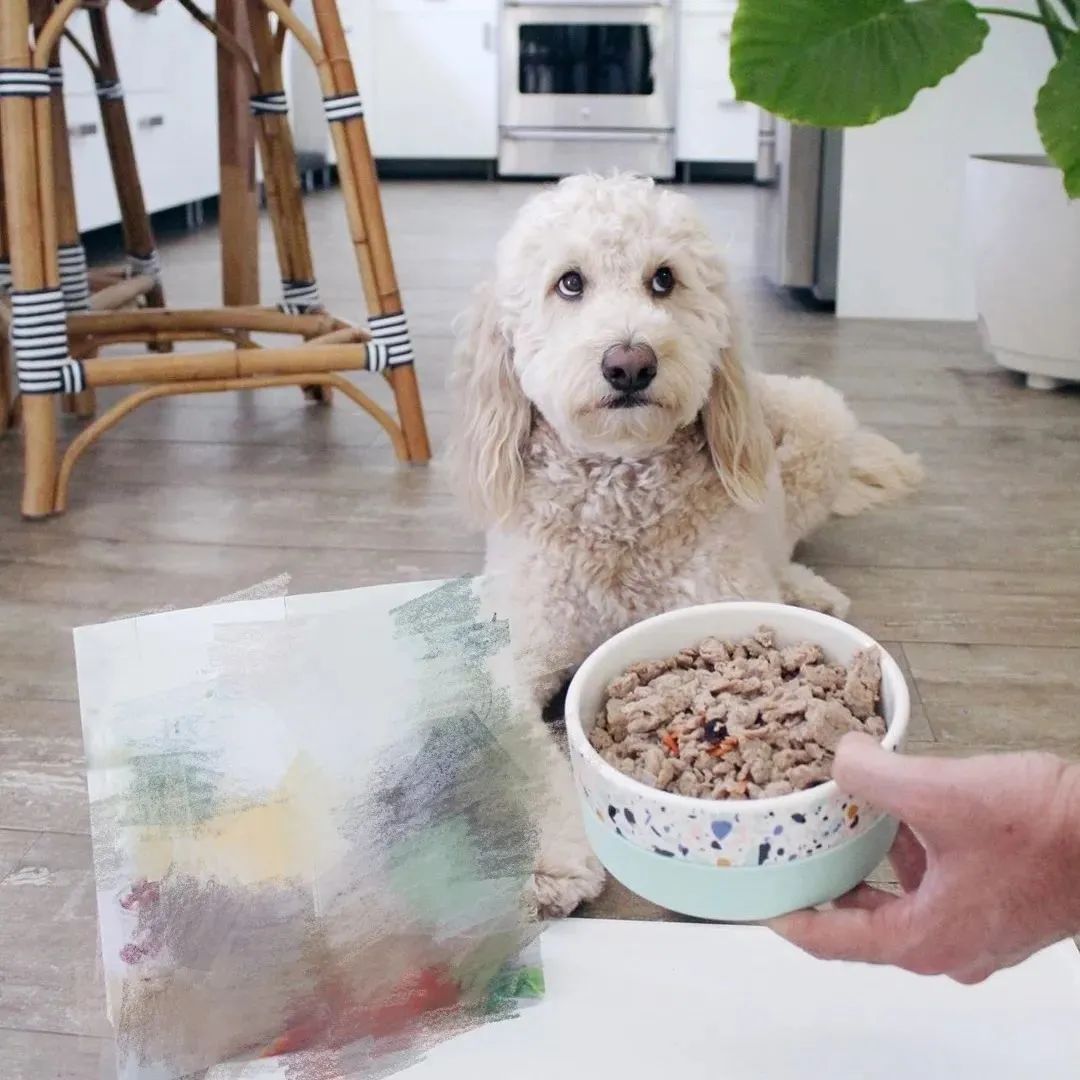 什么狗粮是所有类型狗都吃的,什么是好德牧