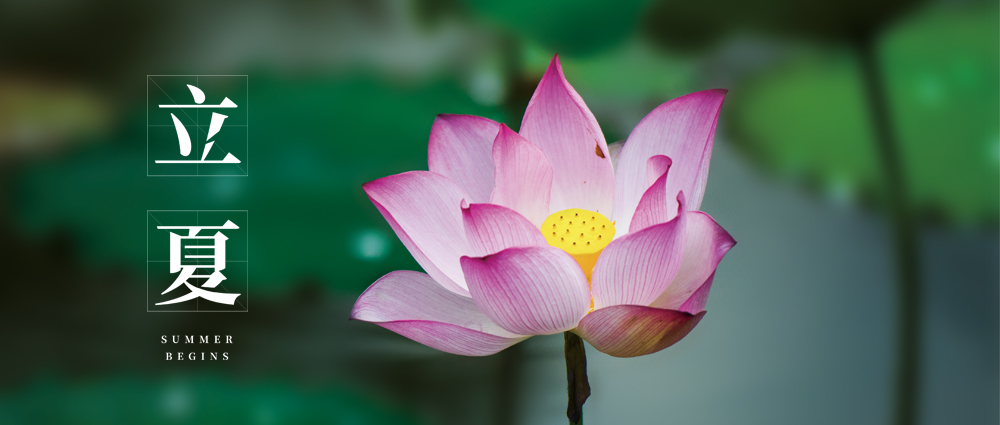 立夏过后酷热天气开始来临,立夏后天气还会潮湿吗