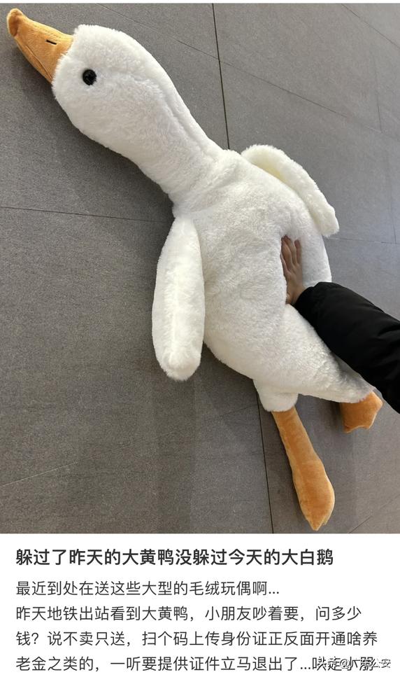 扫码免费领，谁能拒绝一只“大鹅”呢？
