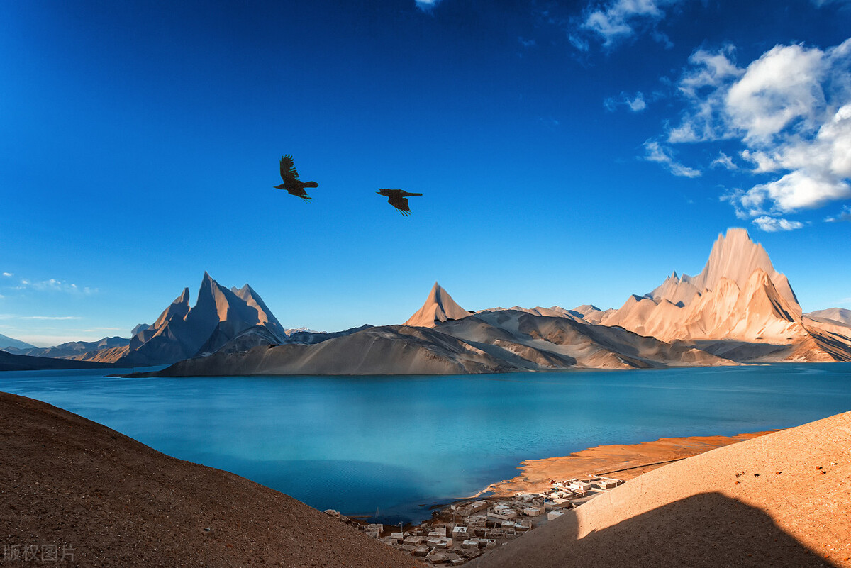 摄影入门镜头怎么选购最好,35mm定焦镜头价格及选购攻略