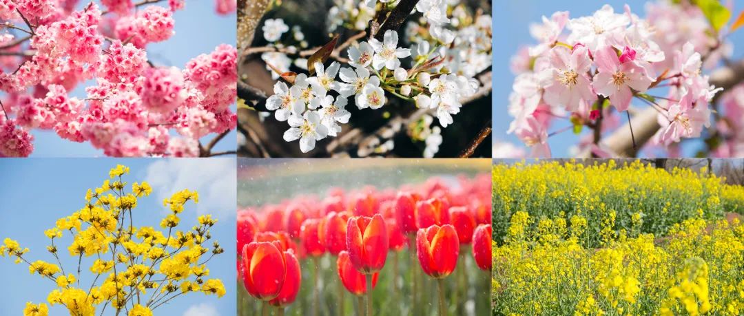 西昌文旅 (四川西昌文旅)