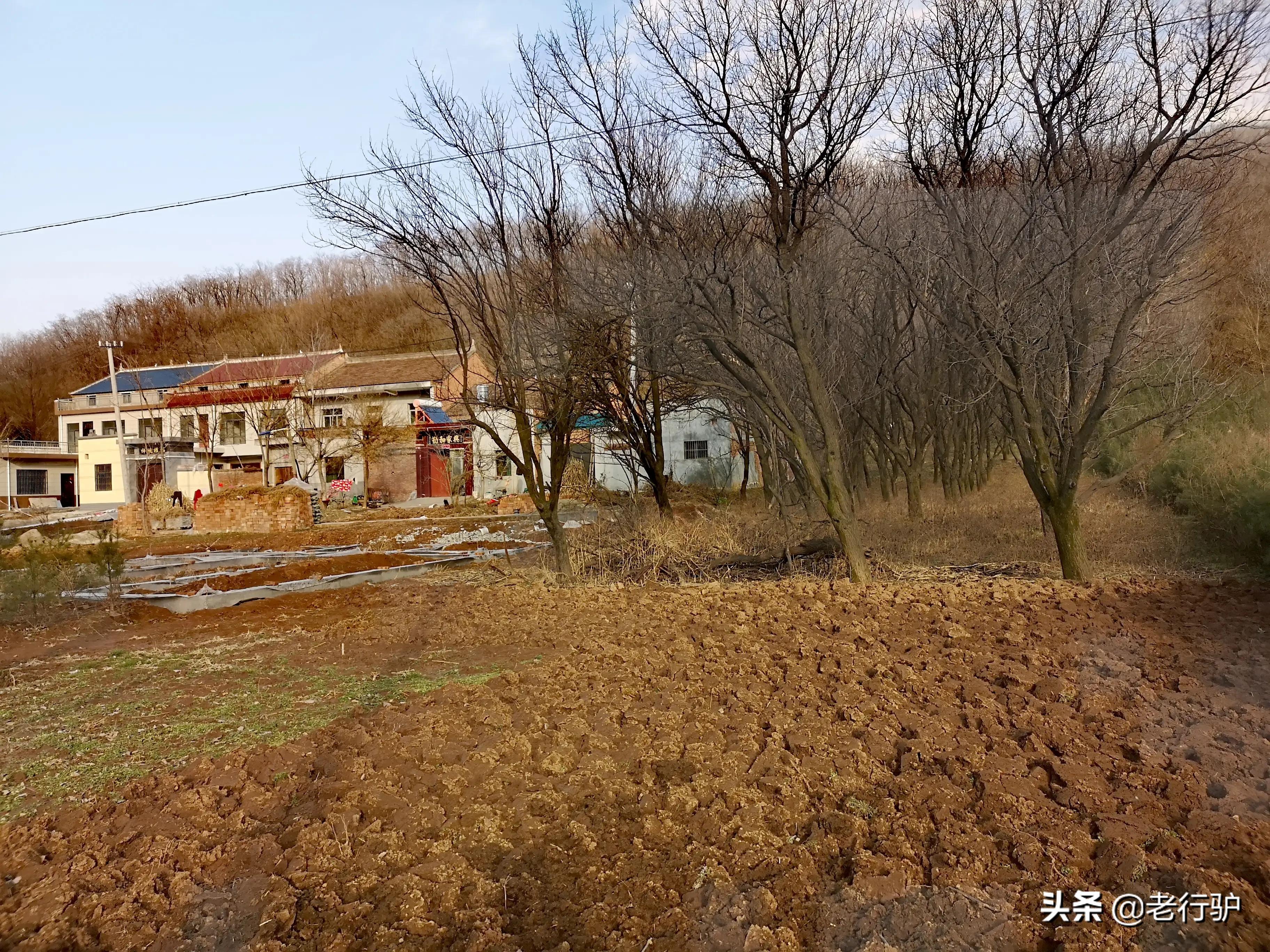 白鹿原白鹿白仙子,白鹿原的白灵和鹿兆海