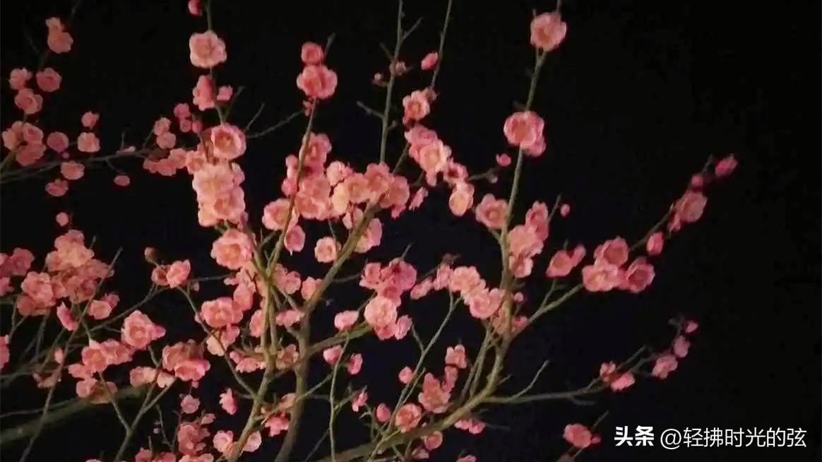 中国著名诗词大全集,诗词十大最美巅峰之作