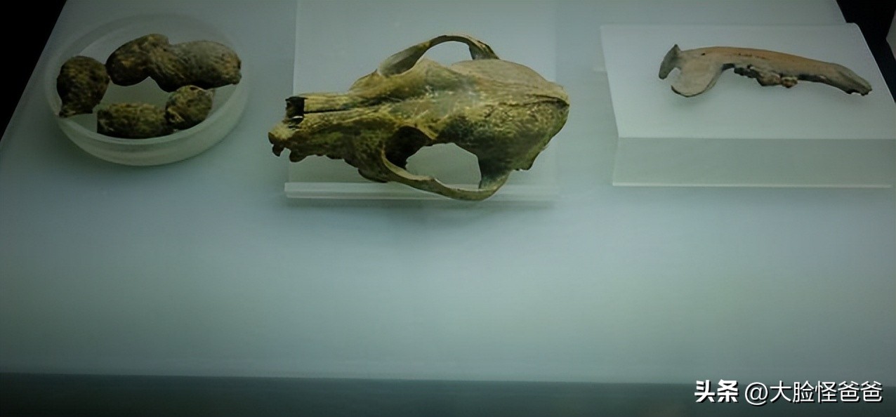 最早记载盘瓠的神话,盘瓠神话是什么神话