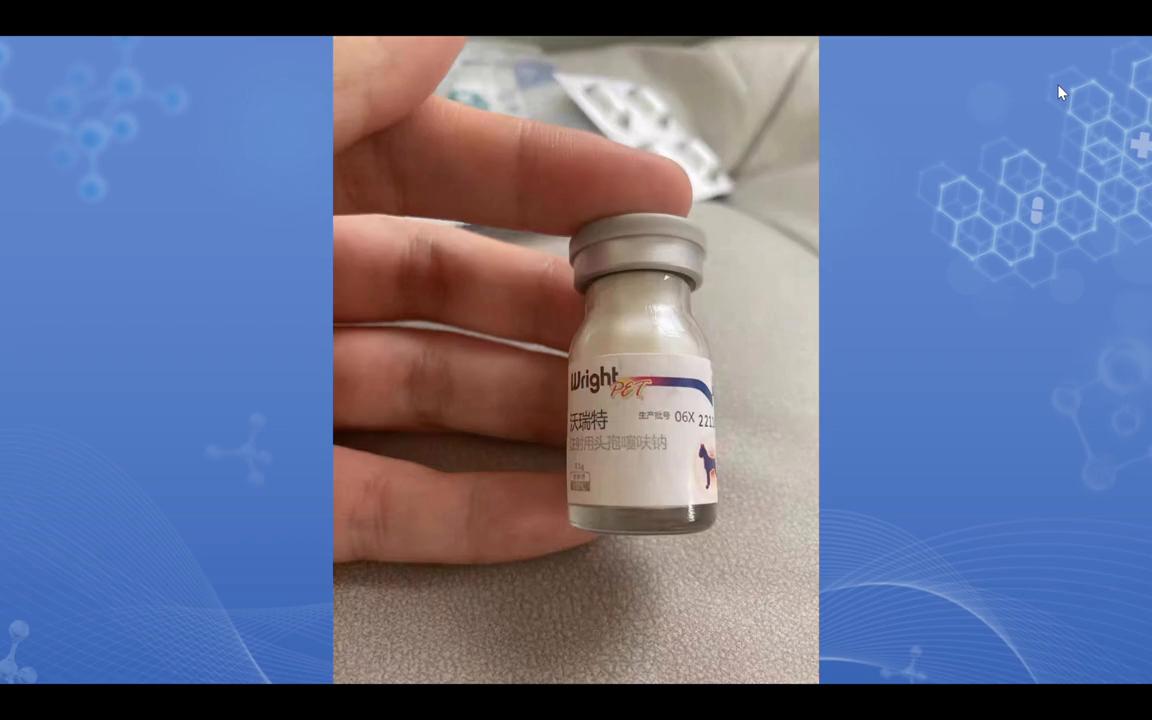 鐚槦鐨勬不鐤楀灏戦挶,鐚槦鍦ㄥ鎬庝箞娌荤枟