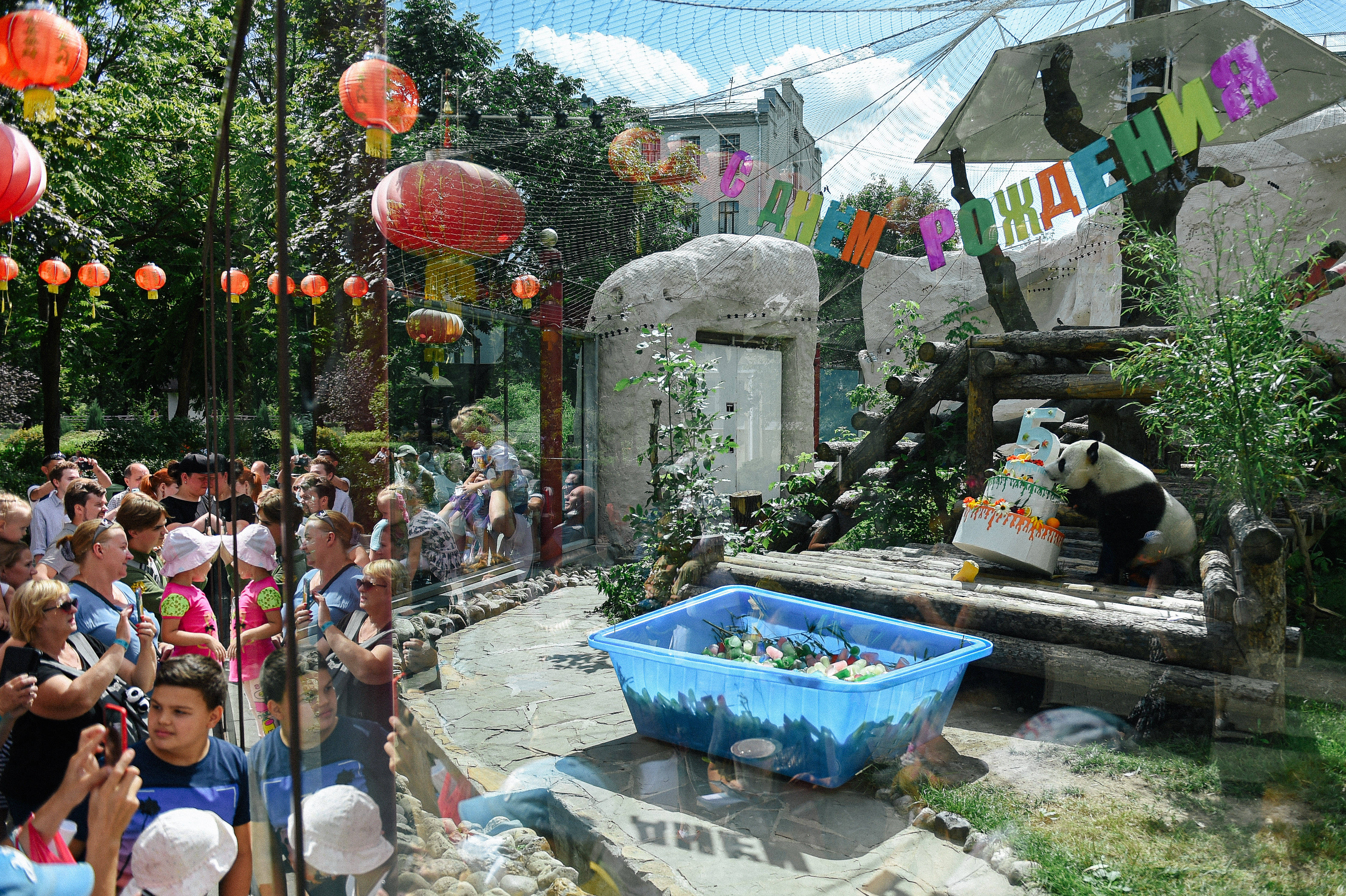 最喜爱大熊猫的前六名国家,世界上最宠大熊猫的6个国家