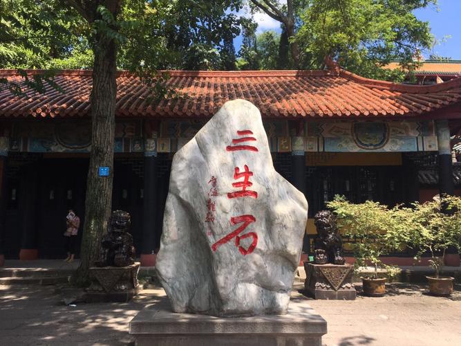 夜的眼讲的是什么,夜的眼睛朗诵