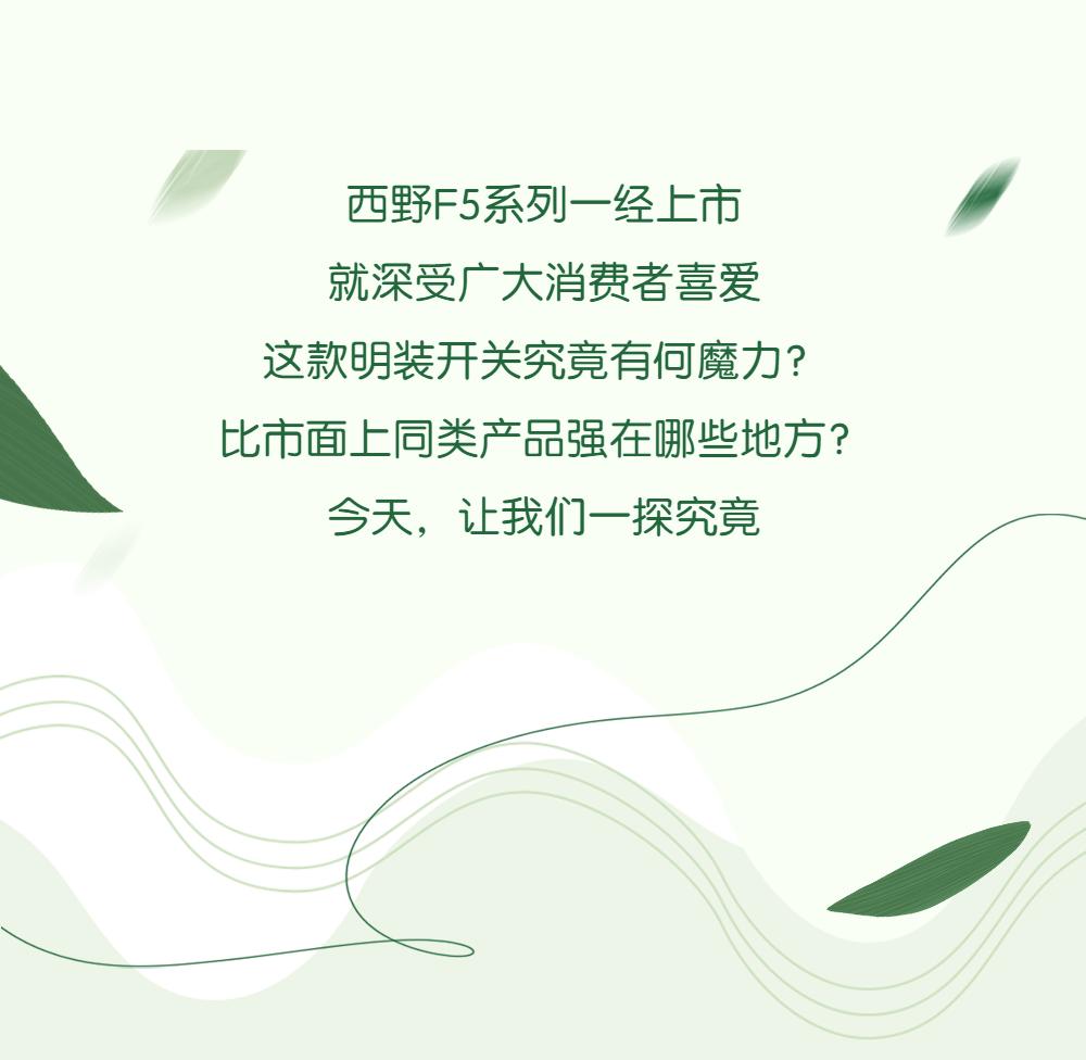 西野开关的优缺点,西野开关优缺点