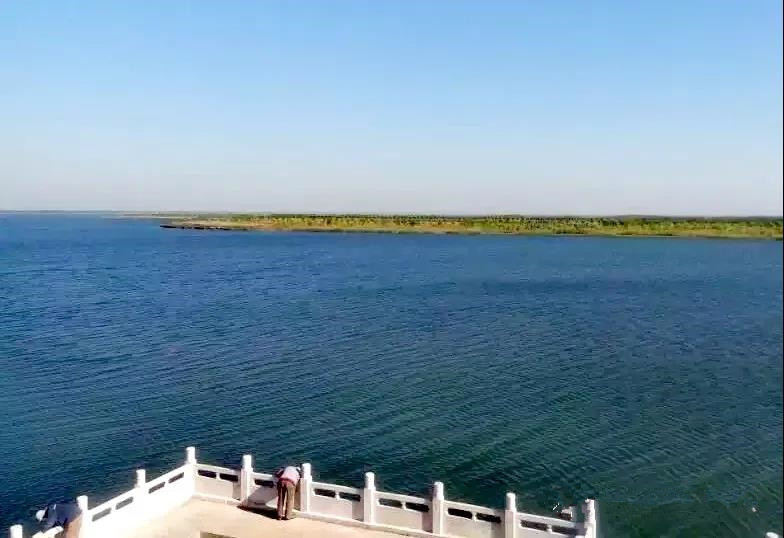 团泊洼的秋天的阅读感悟,团泊洼的秋天朗诵视频