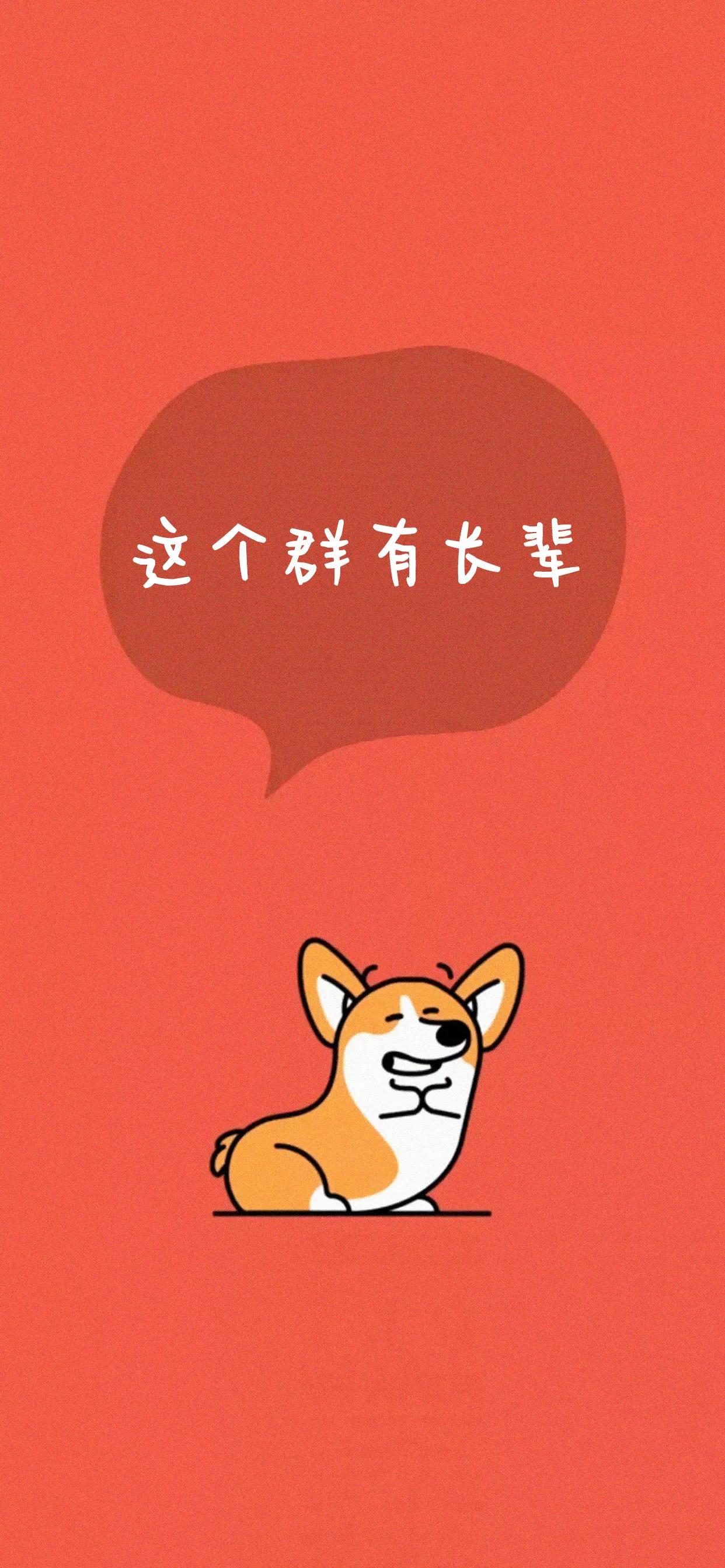 可可爱爱微信壁纸,可可爱爱相册背景