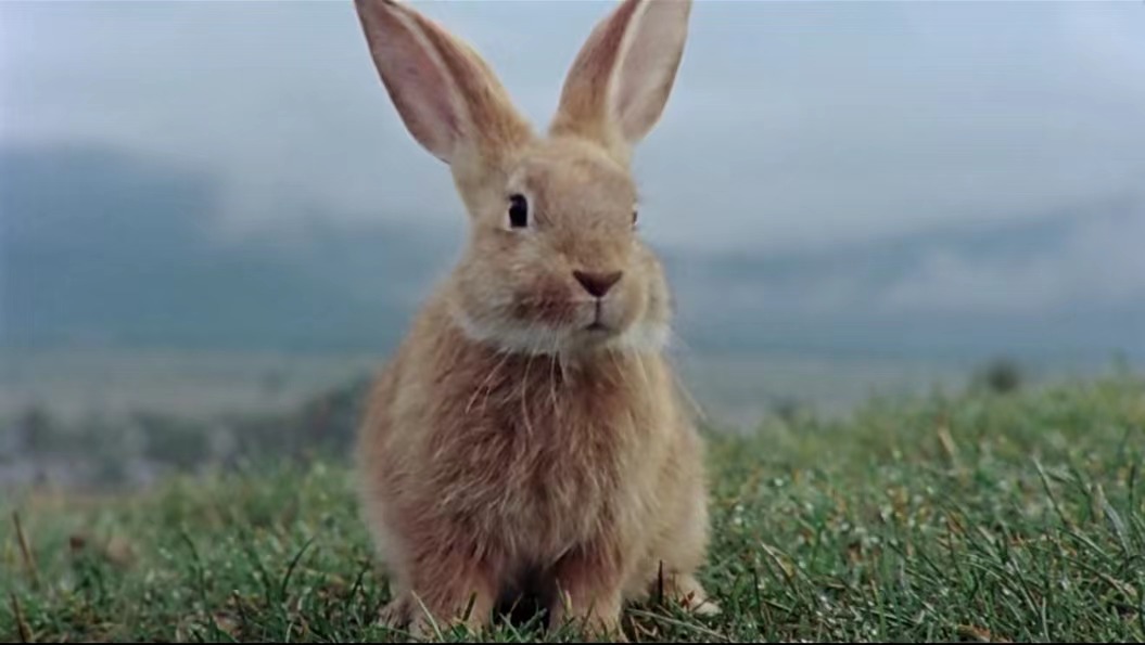 cny排行榜,cny系列哪款最好