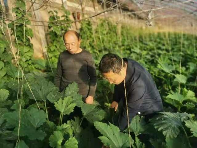 最美公务员马学锋,学习最美公务员先进典型事迹