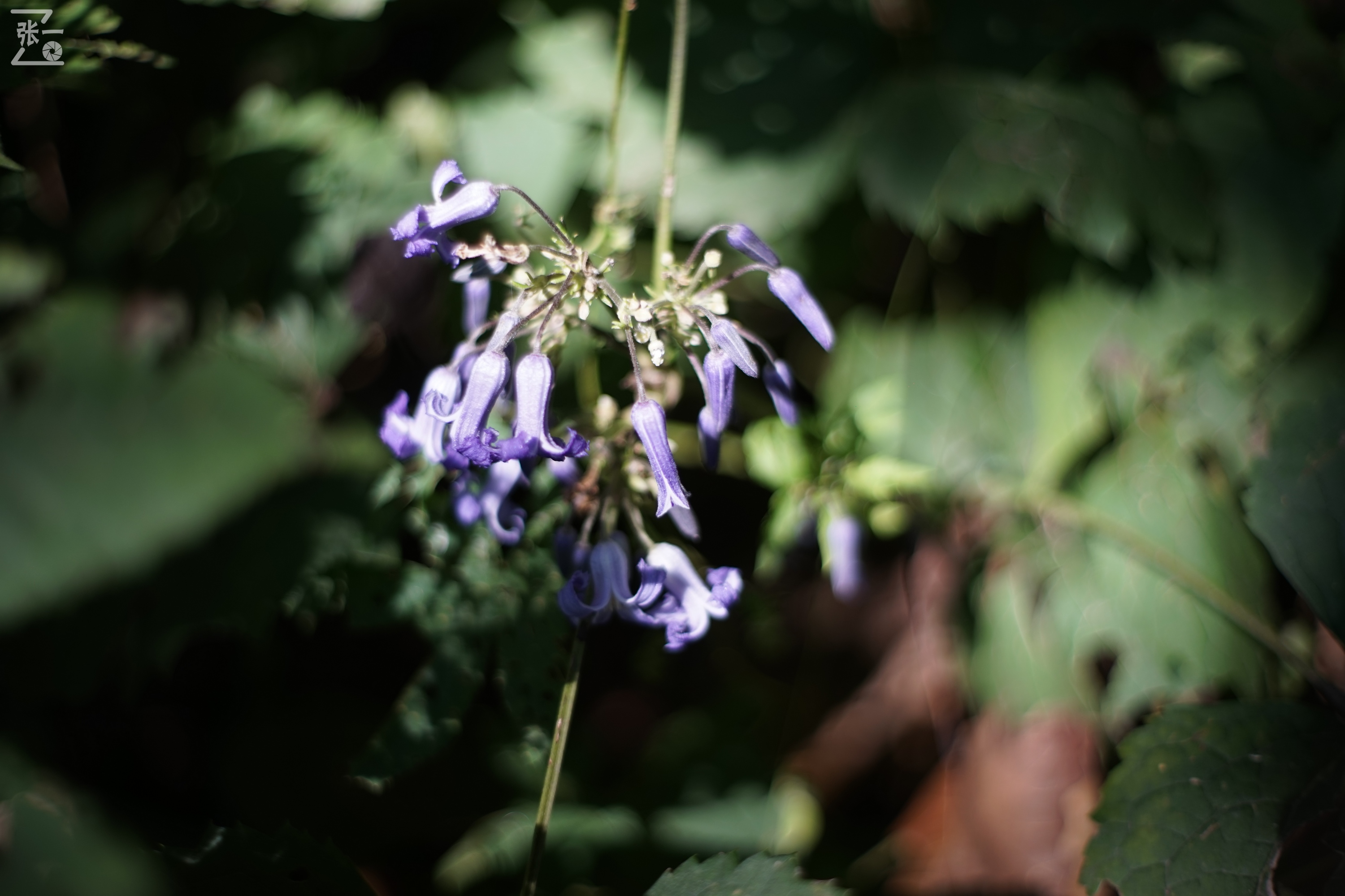 老镜头实拍,老镜头拍北京