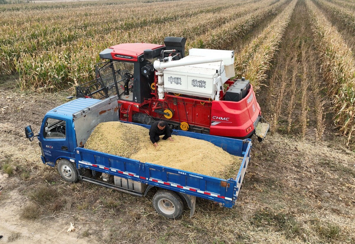 大豆价格最新行情消息,大豆最新消息大豆价格预测