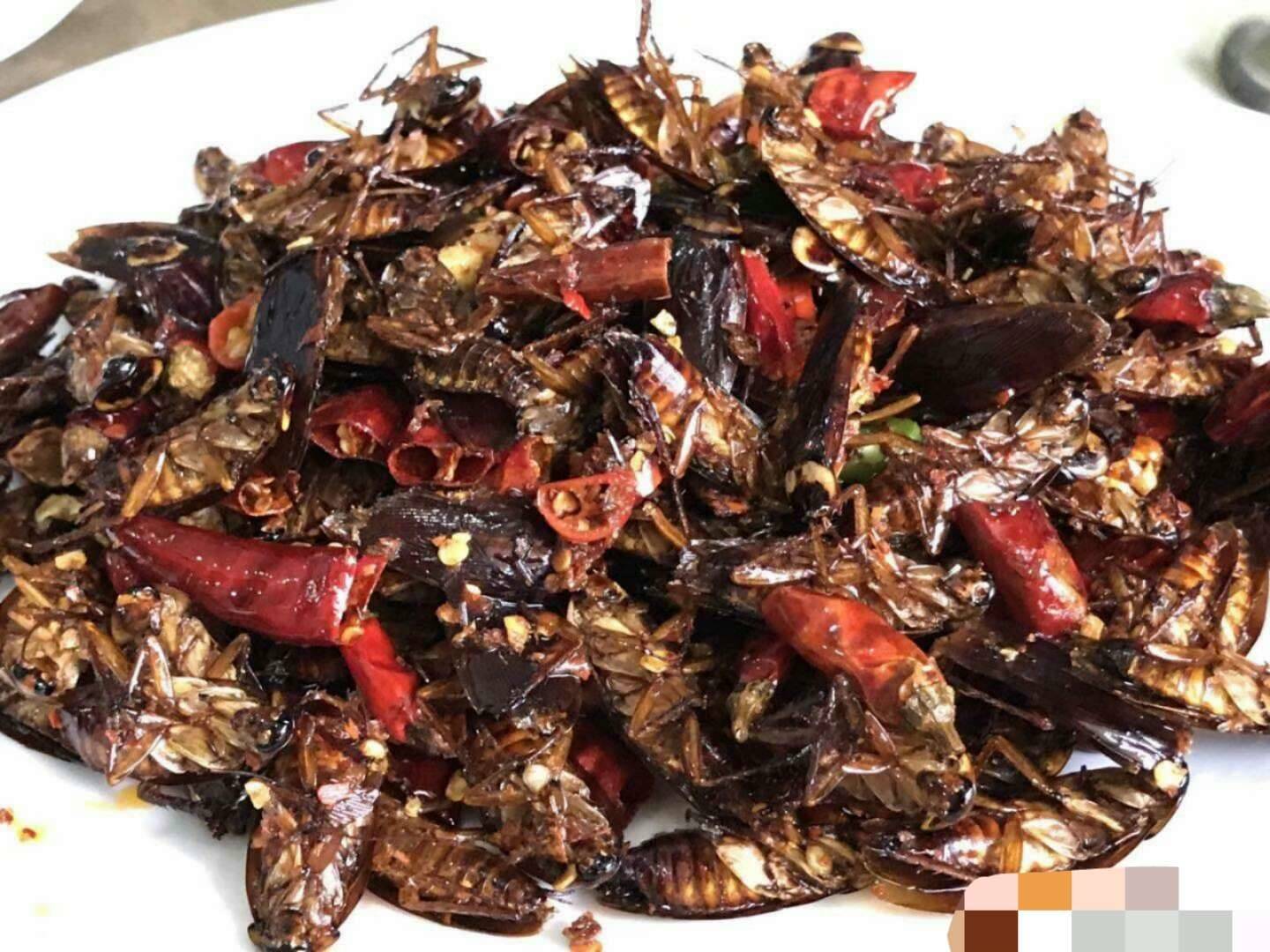 鏌煍瀵ㄧ編椋熸补鐐稿ぇ铚樿洓,鏌煍瀵ㄧ壒鑹茬編椋熺偢铚樿洓