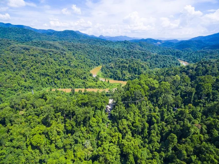 西双版纳最近十五天的气温,西双版纳气温最高38算热吗