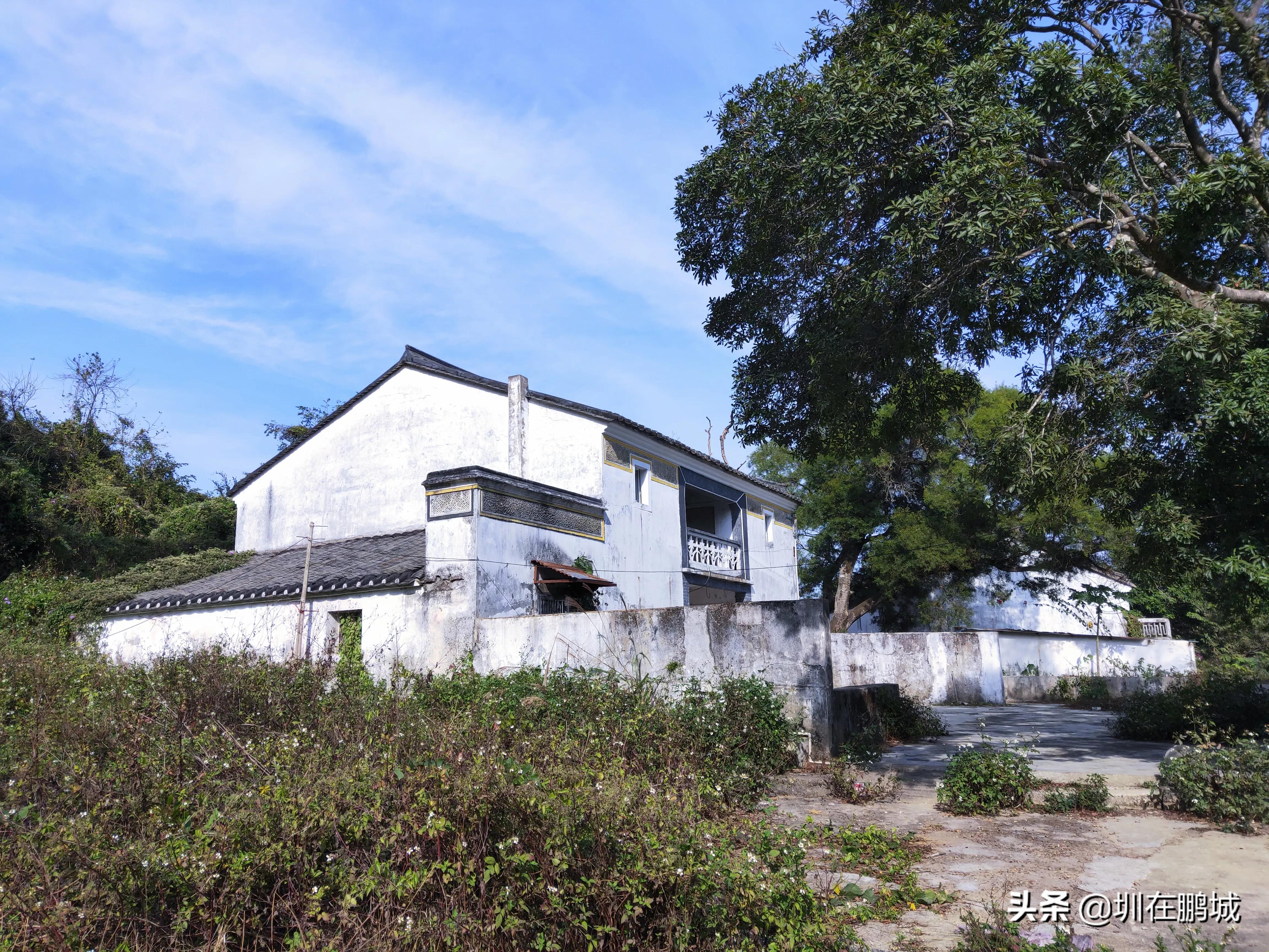 从马峦山穿越梅沙尖有多远,马峦山穿越坪山到大梅沙