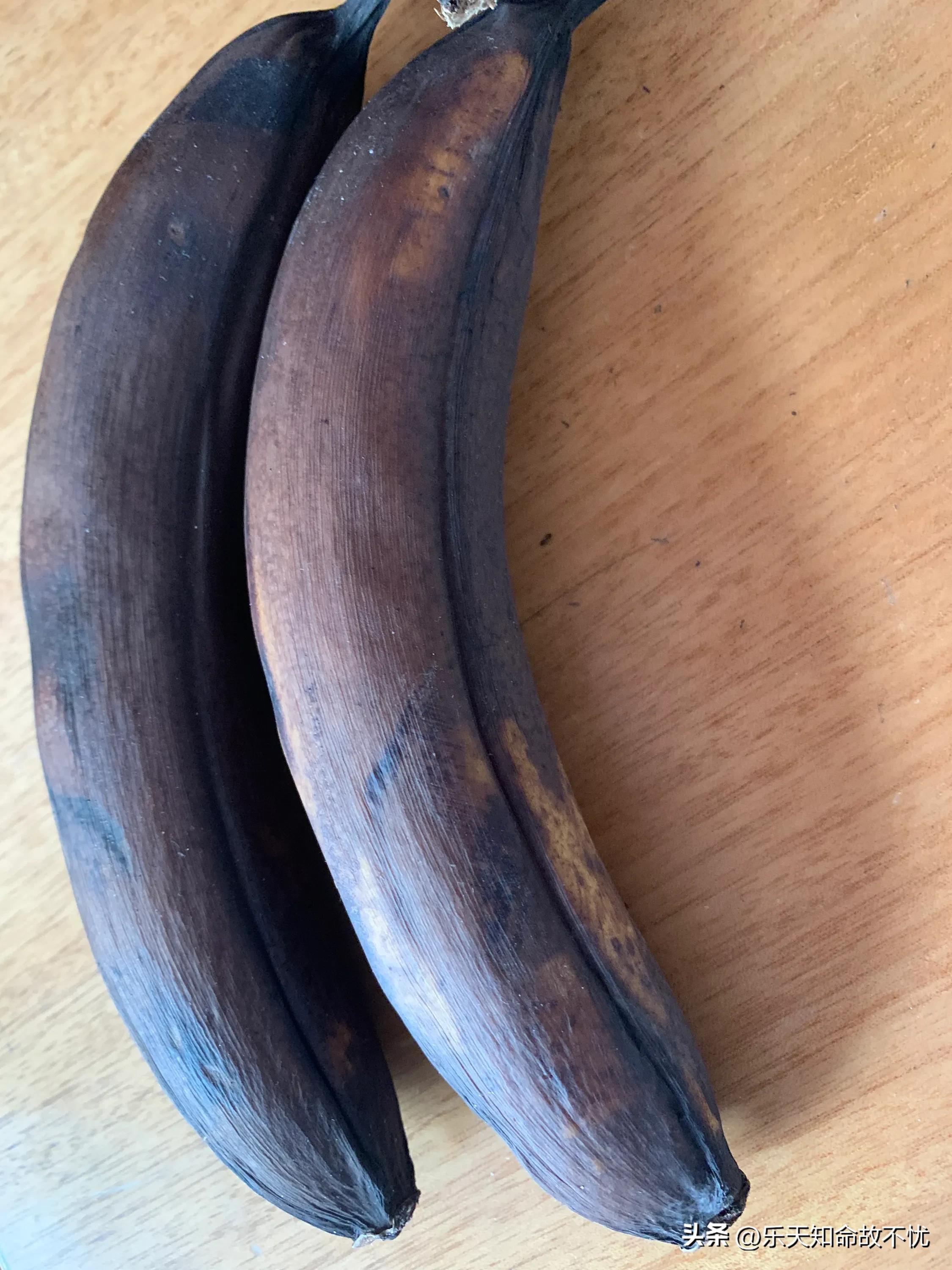 抗疫日记30篇,抗疫日记100天