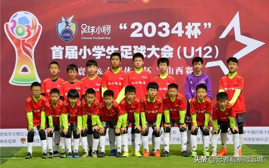 我眼中的中国董宇辉全文,中国足球小将谢晋和董路的关系